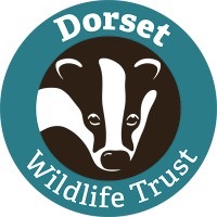 Profile picture of Dorset Wildlife Trust