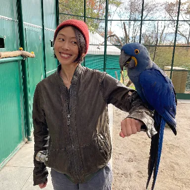 Profile picture of Yongsi Chen